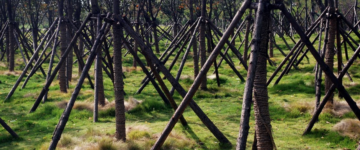 tree-supports tree supports