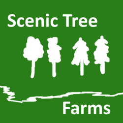 Scenic Tree Farm